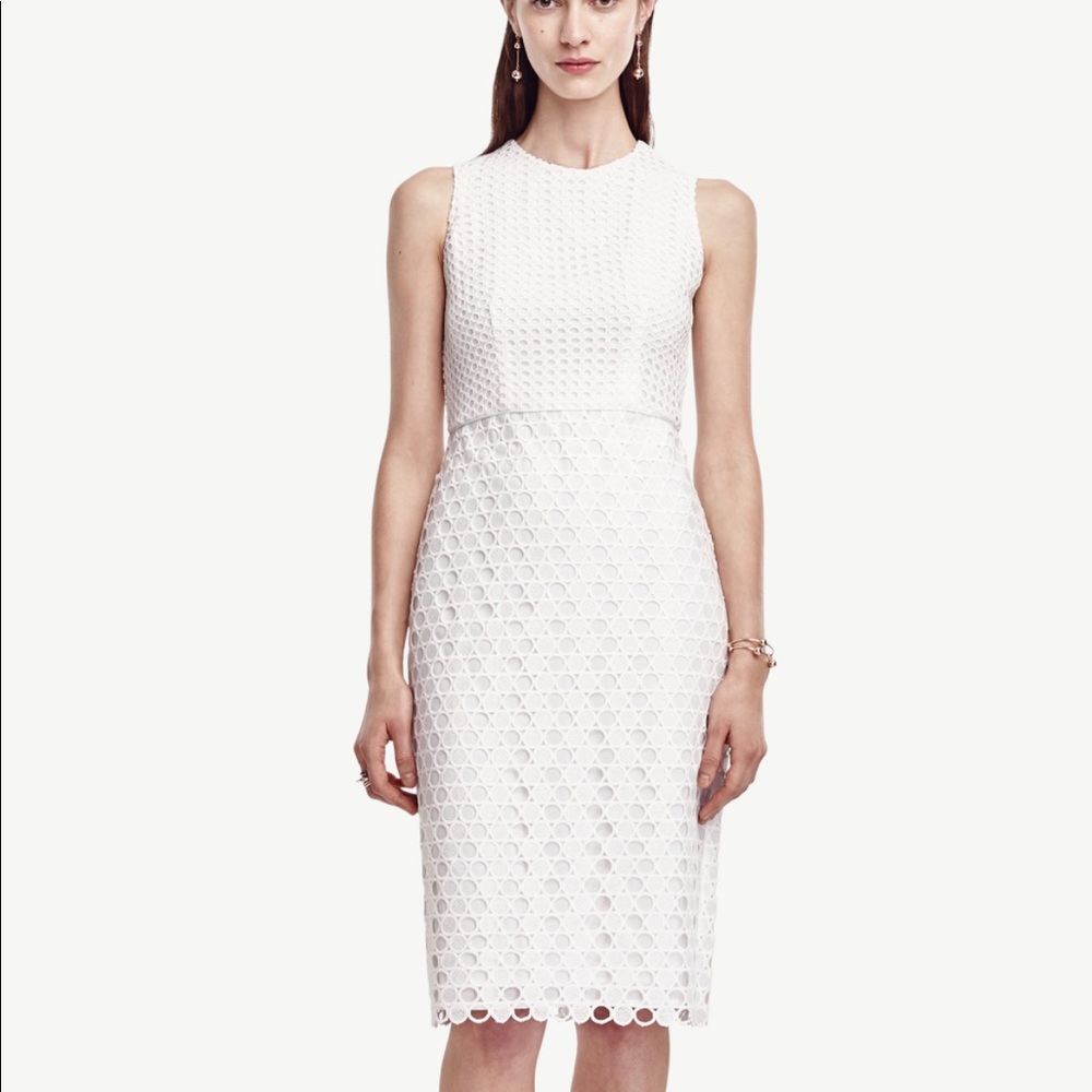 Ann Taylor White Eyelet Sheath Size 2P